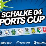 FC-Schalke-04-eSports-Cup-2017-Veltins-Arena-GamesWirtschaft