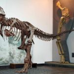 T-Rex-Senckenberg-Museum-Frankfurt-GamesWirtschaft
