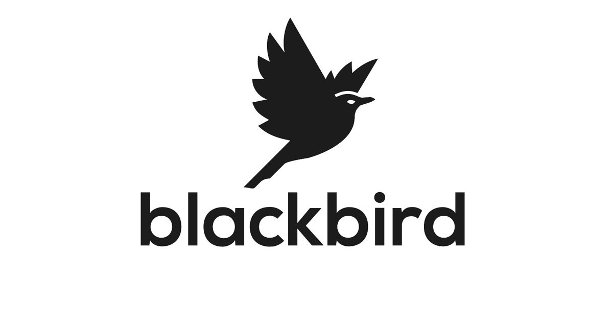 Reza Abdolali hat in Hamburg die Fullservice-Agentur Blackbird eSports gegründet.