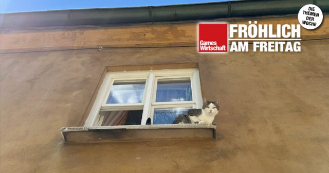 Froehlich-am-Freitag-2025-36-Fugger-050925 88 Cent beträgt die Jahres-Miete in der Augsburger Fuggerei - diese flauschige Bewohnerin wohnt vermutlich noch günstiger (Foto: privat)