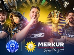 Merkur Cash Cup: Kritik am Glücksspiel-Deal mit BIG Gemeinsam mit der Merkur-Gruppe will BIG die Merkur Cash Cups aufsetzen (Abbildung: Merkur-Gruppe)